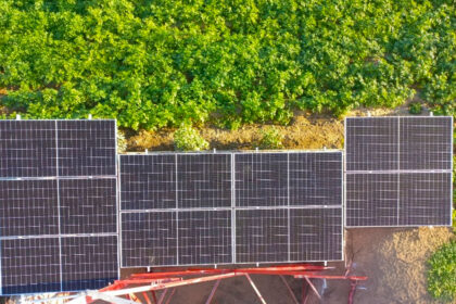 entel solar